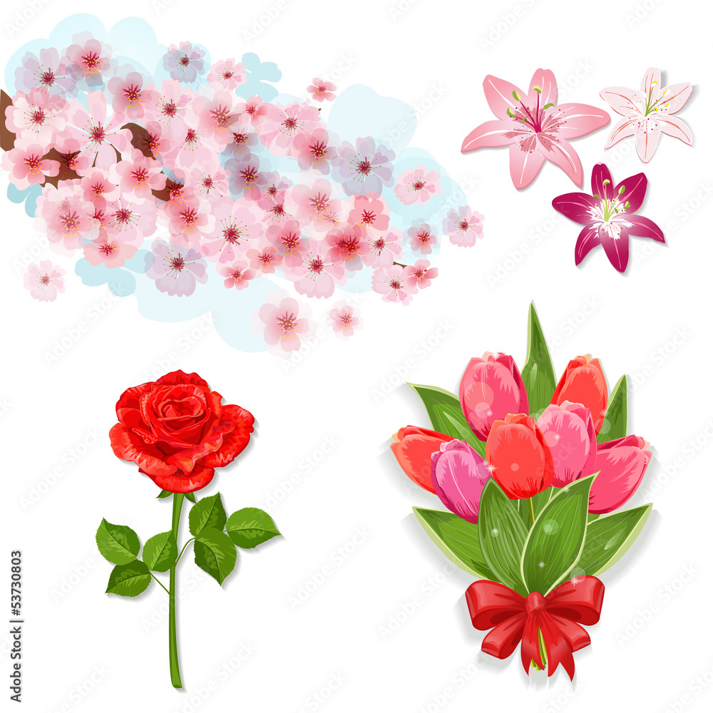Set of isolated flowers for your design