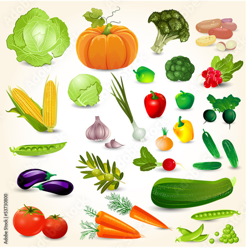 Set of fresh vegetables for your design