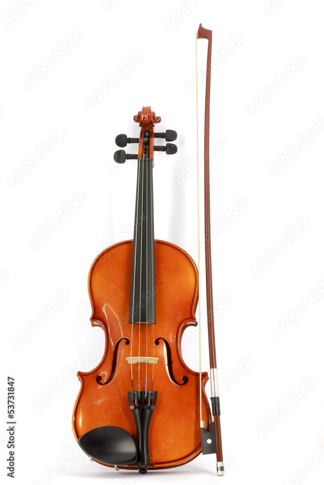 Fototapeta premium Violin