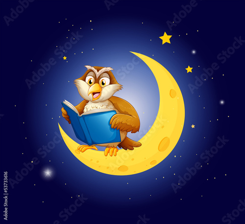 An owl reading a book on the moon