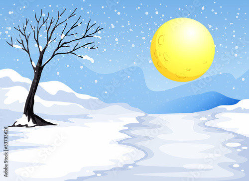 Snowy evening