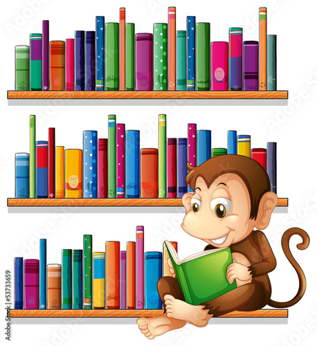 A monkey reading in front of the bookshelves