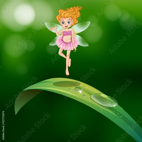 A beautiful fairy above an elongated green leaf