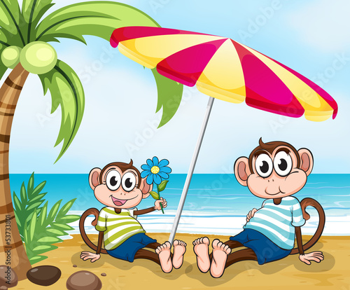 A beach with two monkeys