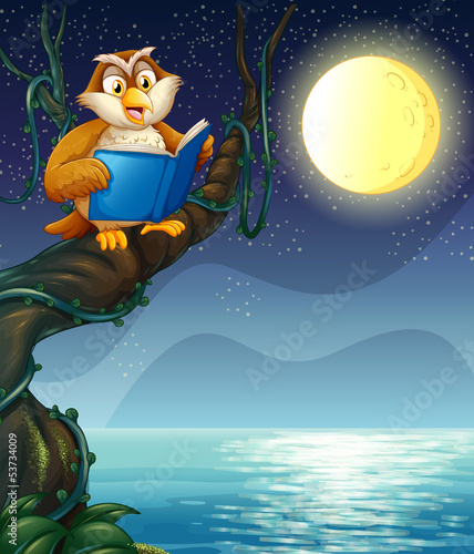 An owl reading a book above a branch of a tree