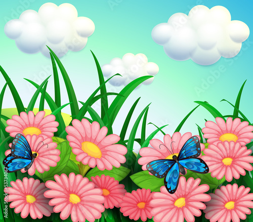The two butterflies in the garden