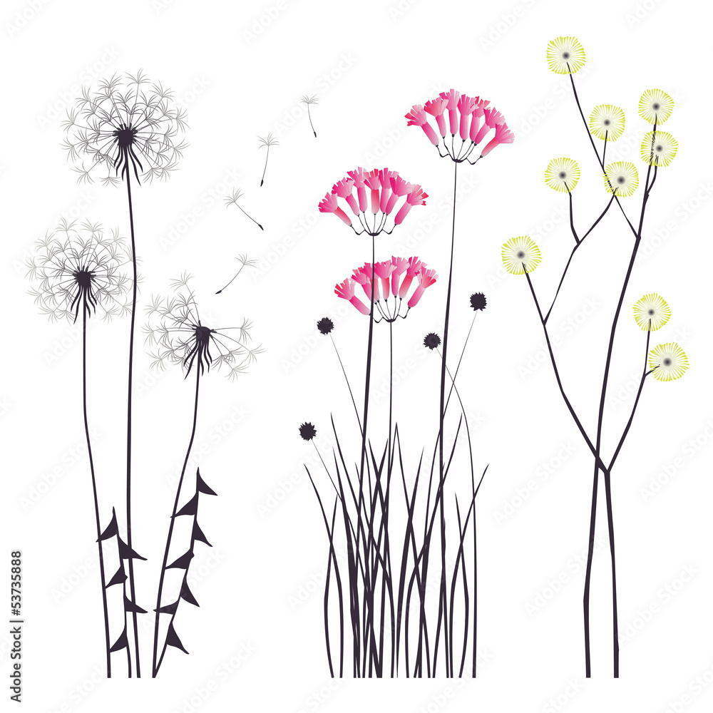 Floral background, blooming flowers