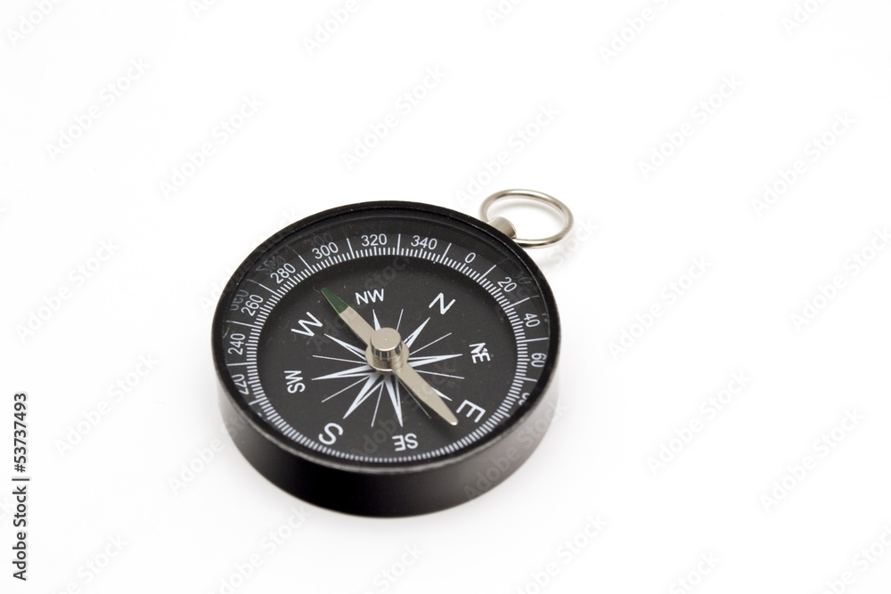 Magnetic compass