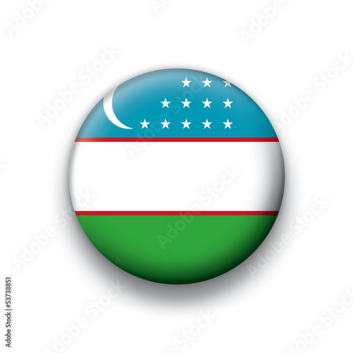 Vector flag button series Uzbekistan