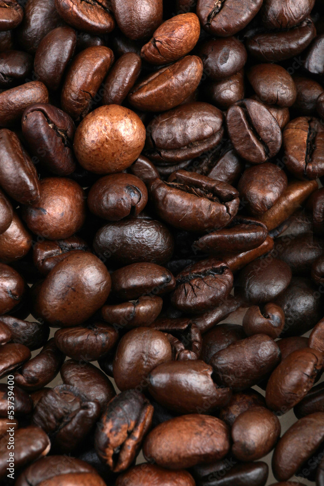 Fototapeta premium Coffee bean