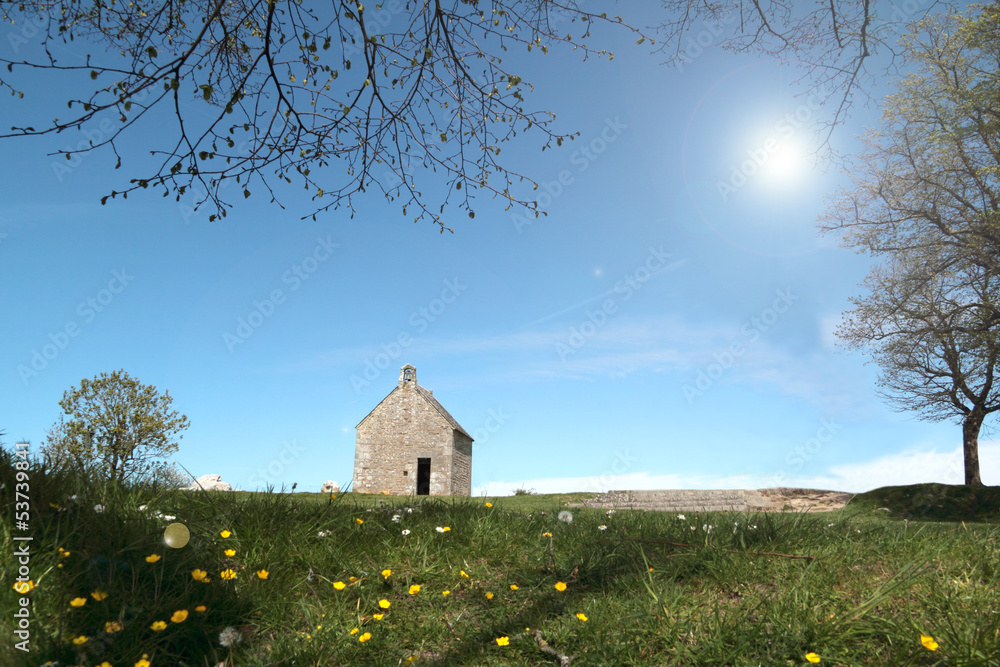 Obraz premium Paysage de campagne