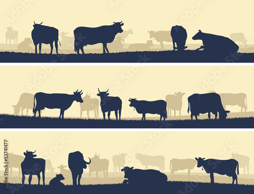 Horizontal illustration of farm pets.