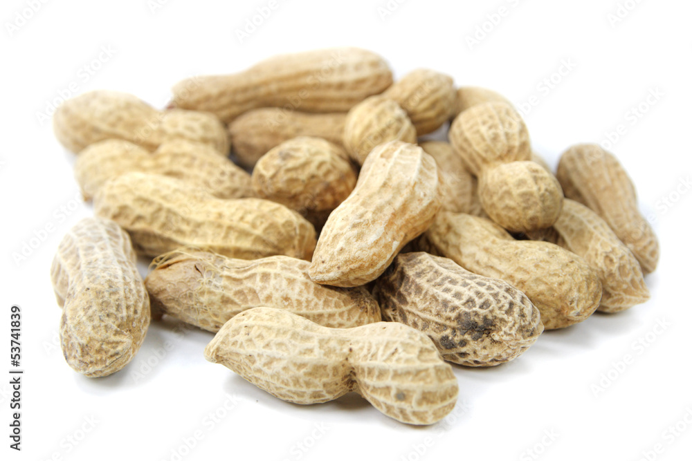 Peanuts in shells isolated on white background Peanuts in shells isolated on white background