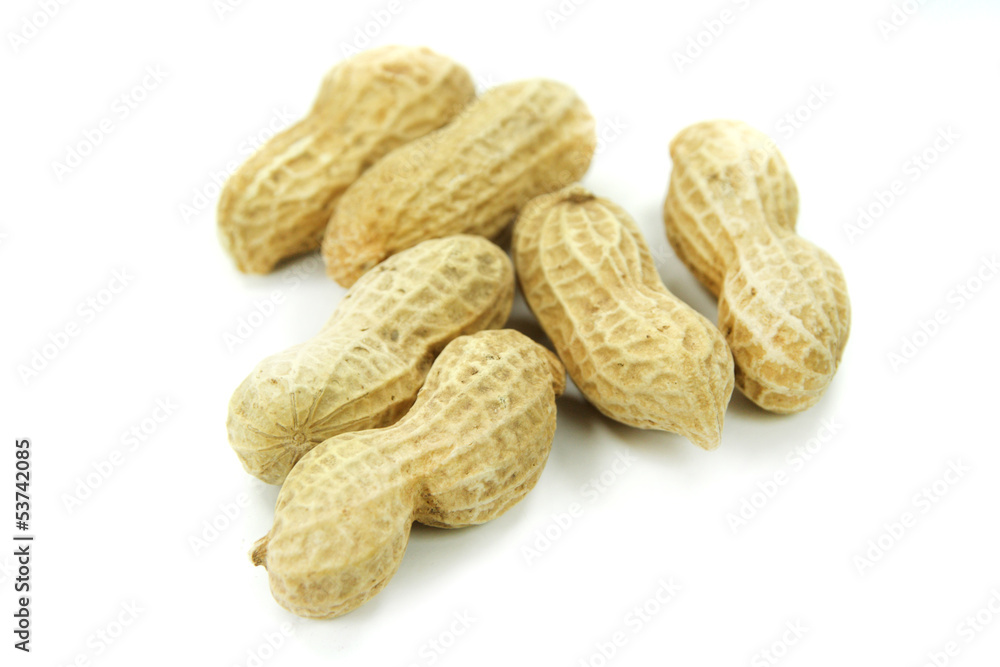 Peanuts in shells isolated on white background Peanuts in shells isolated on white background