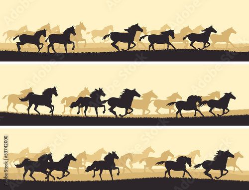 Horizontal banners herd of horses.