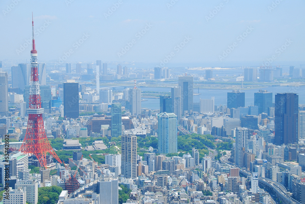 Fototapeta premium Vue panoramique de Tokyo et de la tour de Tokyo