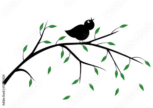 singvogel auf ast