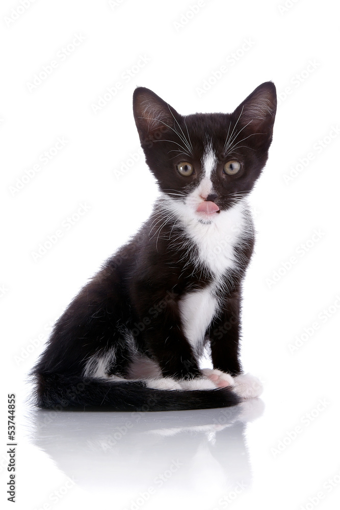 Black and white kitten licks lips on a white background. Black and white kitten licks lips on a white background.