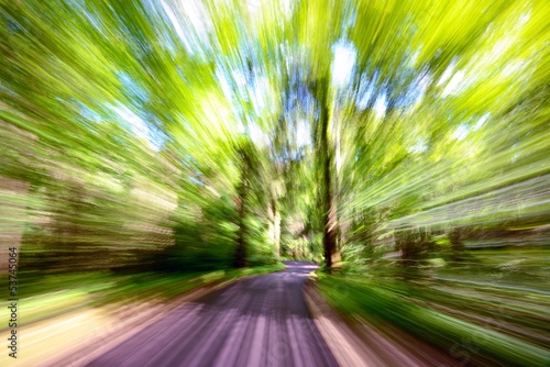 Forest Road with Motion Blur