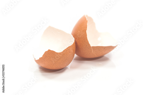 Egg shell with white background.