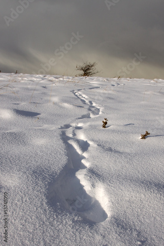 Footprint Trail in Winter Landscape © Heartland Arts