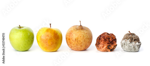 Five apples in various states of decay