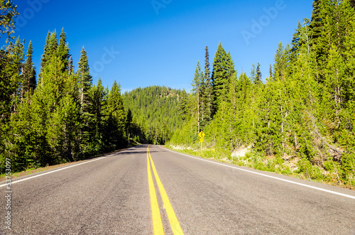 Forested Highway