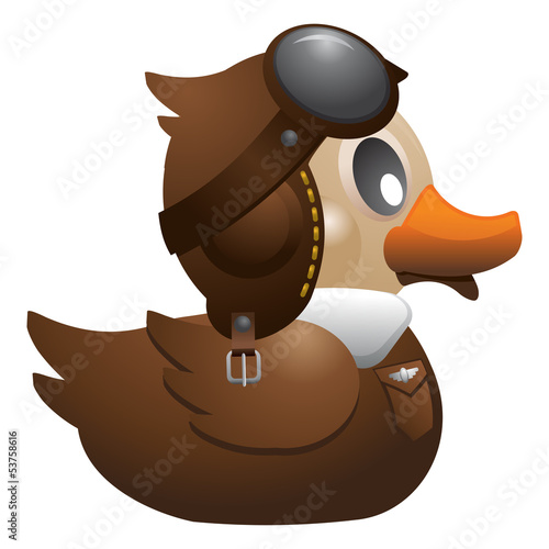 Pilot Duck