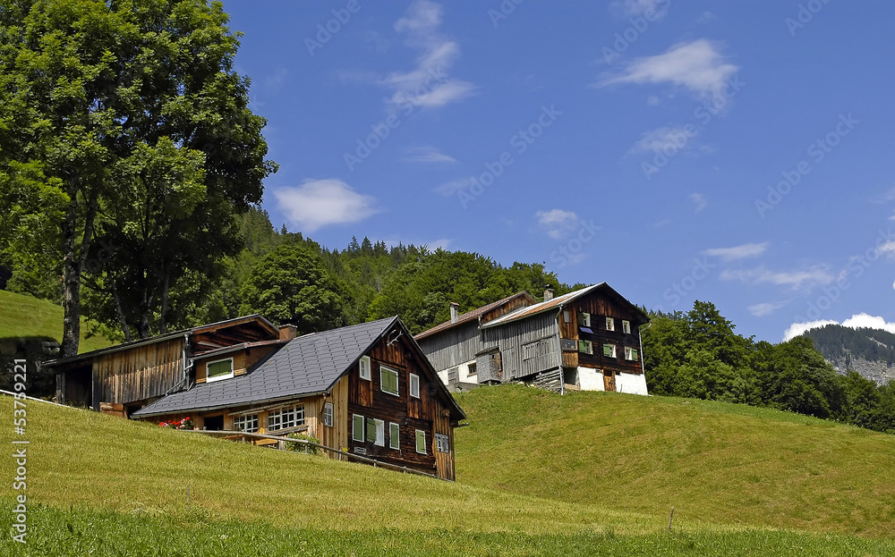 Vorsäßsiedlung im Bregenzerwald