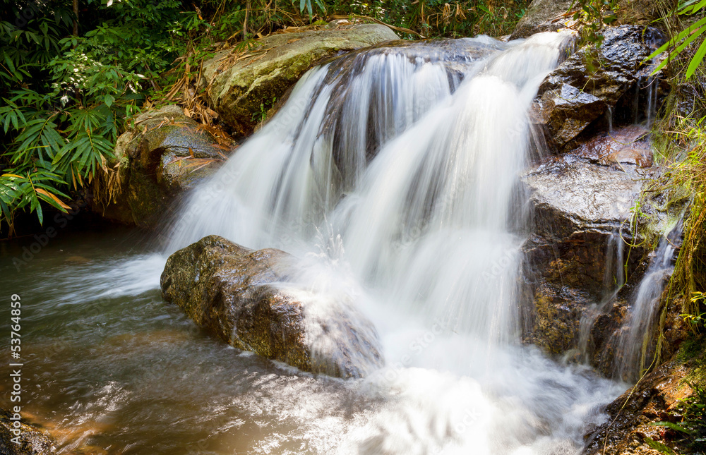 Fototapeta premium Waterfall in the park forest
