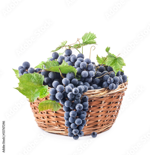 Grapes in wicker basket, Isolated on white background