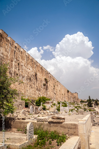 Fragment of the wall