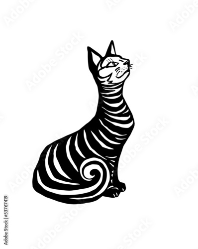 Royal Cat