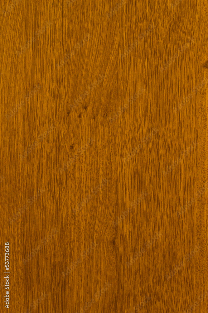 Fototapeta premium Wood texture