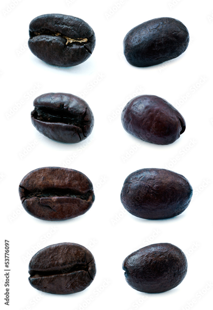 Various Coffee Beans Various Coffee Beans