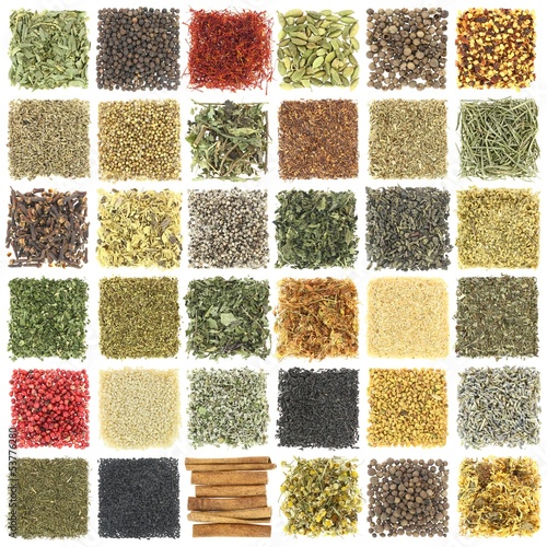 Fototapeta Naklejka Na Ścianę i Meble -  Large collection of herbs and spices isolated on white