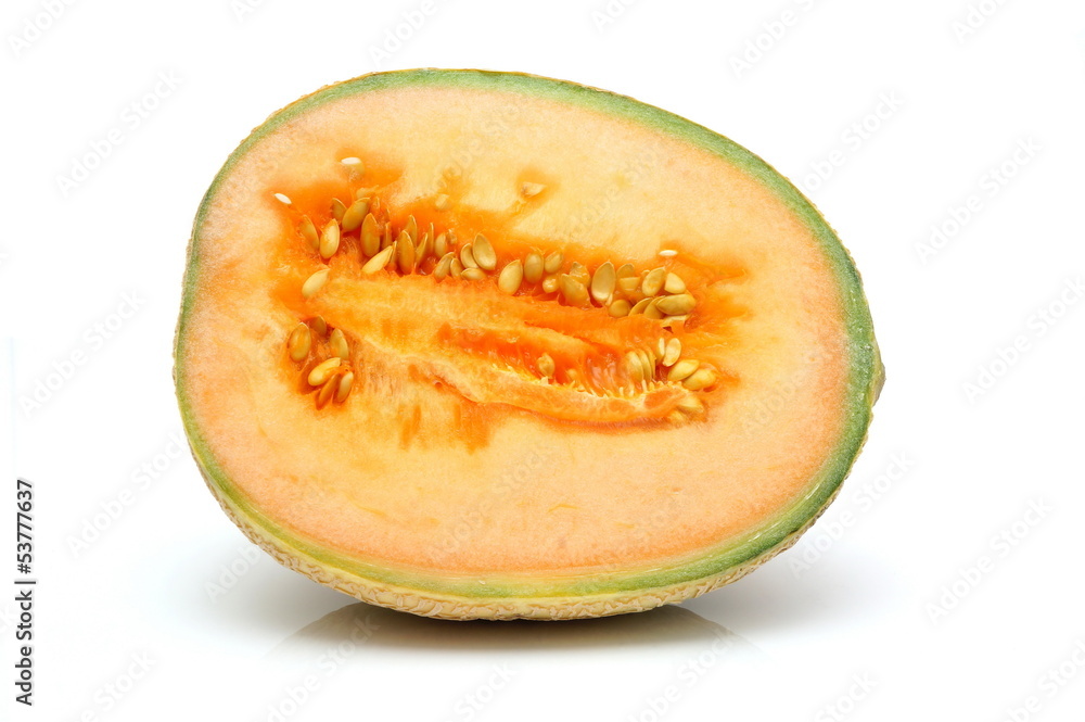 cantaloupe melon cantaloupe melon