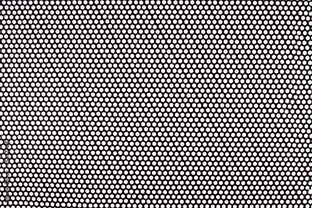 Speaker screen (Texture) Speaker screen (Texture)