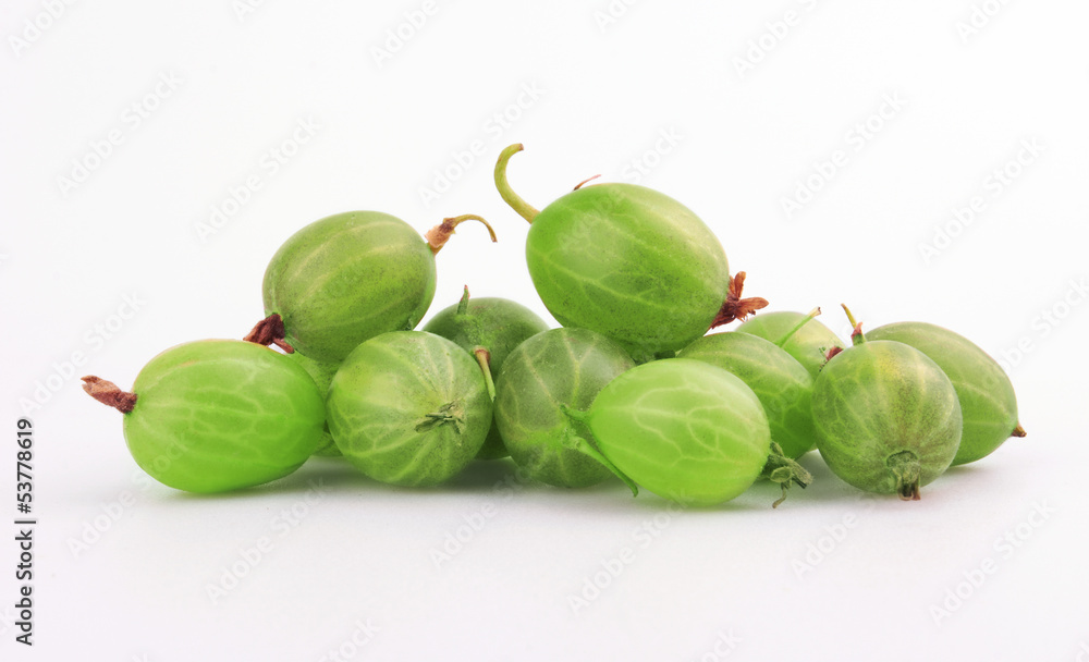 Green Ripe Gooseberries Green Ripe Gooseberries