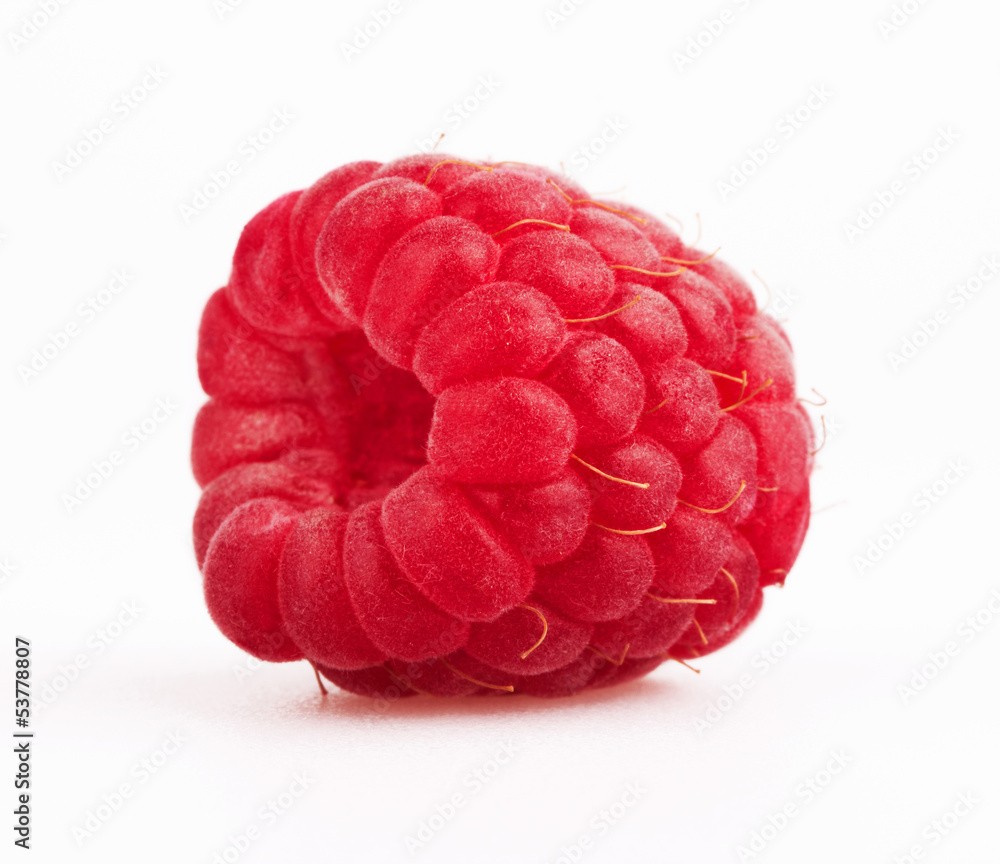 ripe red raspberry ripe red raspberry