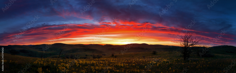 Mountain hills with trees and flowers at sunset Mountain hills with trees and flowers at sunset