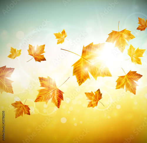 Autumn background with leaves