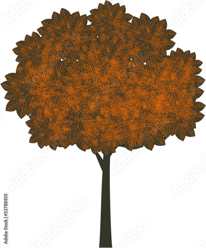 Autumn tree