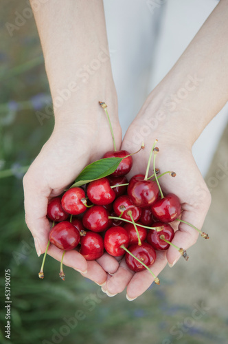 Cherries © Viktor Pravdica
