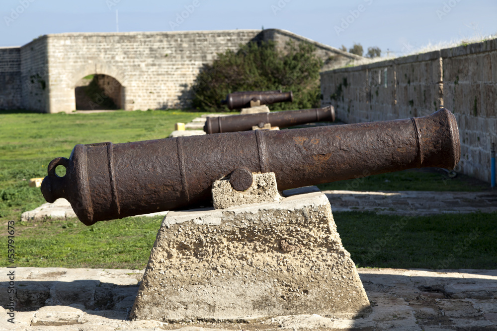 Napoleon's Cannons