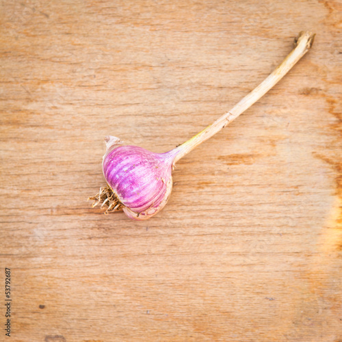 The head of the young garlic on a board