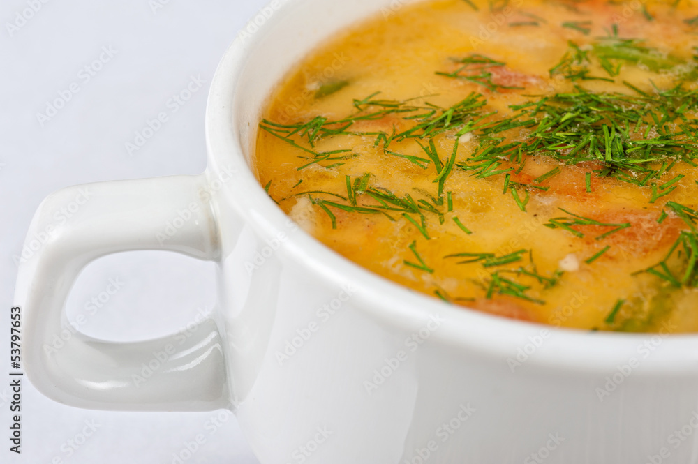 chicken soup chicken soup