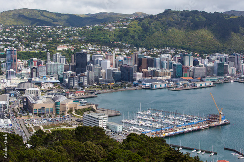 Wellington Skyline and Harbour