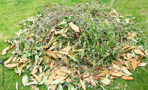 tas de branchages pour compost