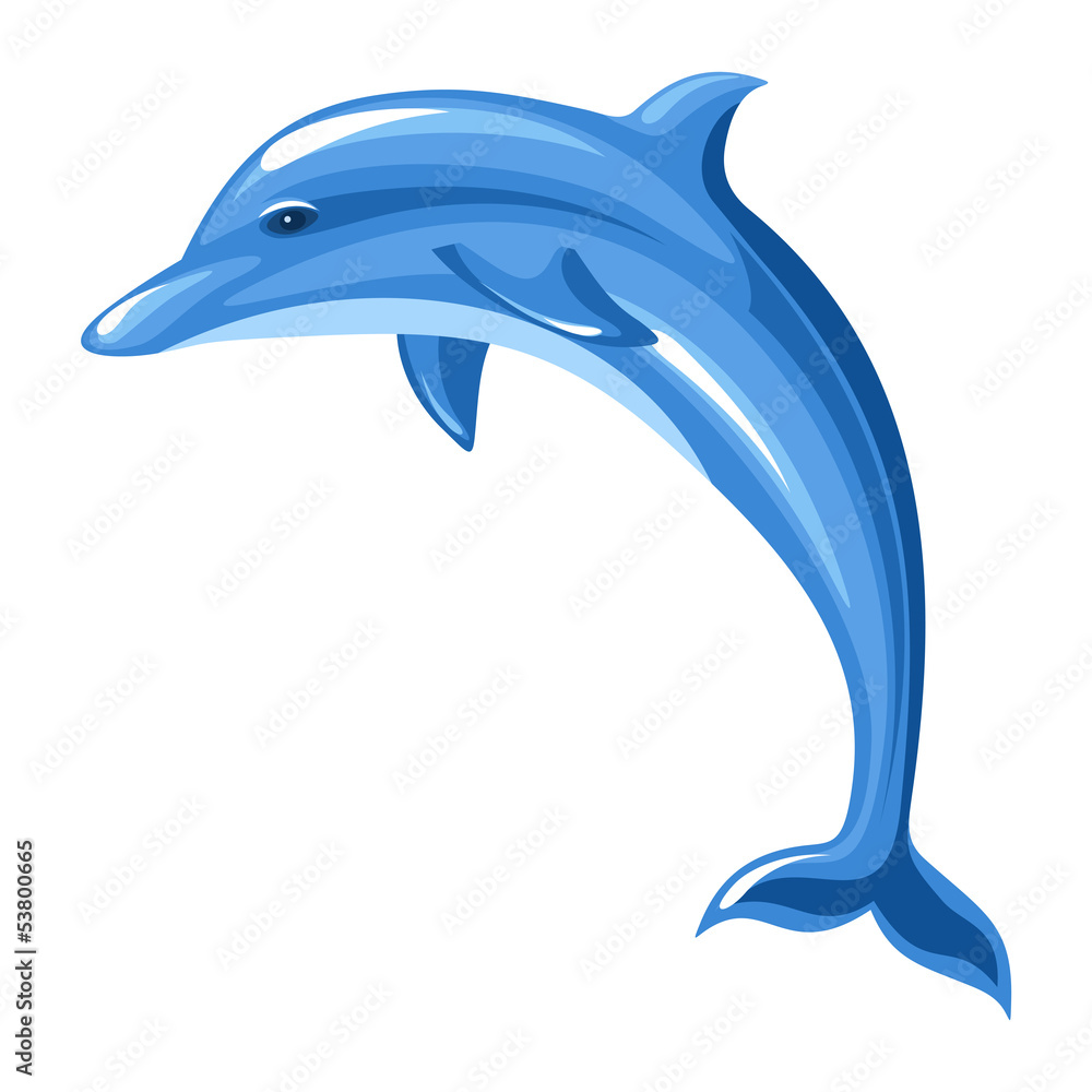 Naklejka premium Dolphin. Vector illustration.